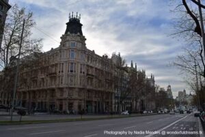 Acci&oacute;n Cat&oacute;lica General