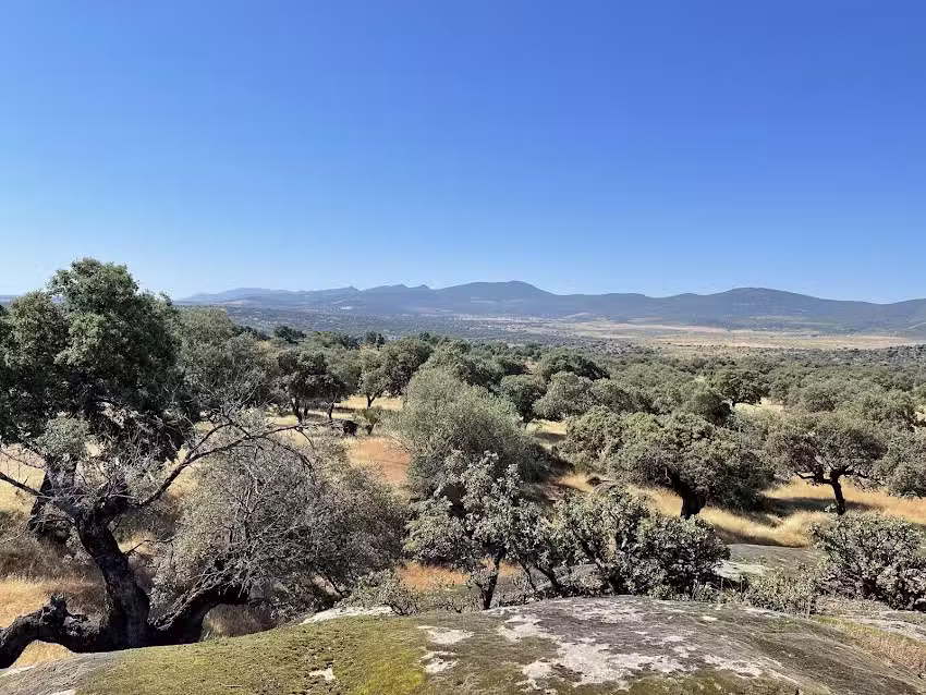 Ayuntamiento de Peraleda de San Rom&aacute;n