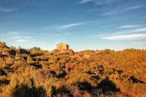 Capella de Sant Donat