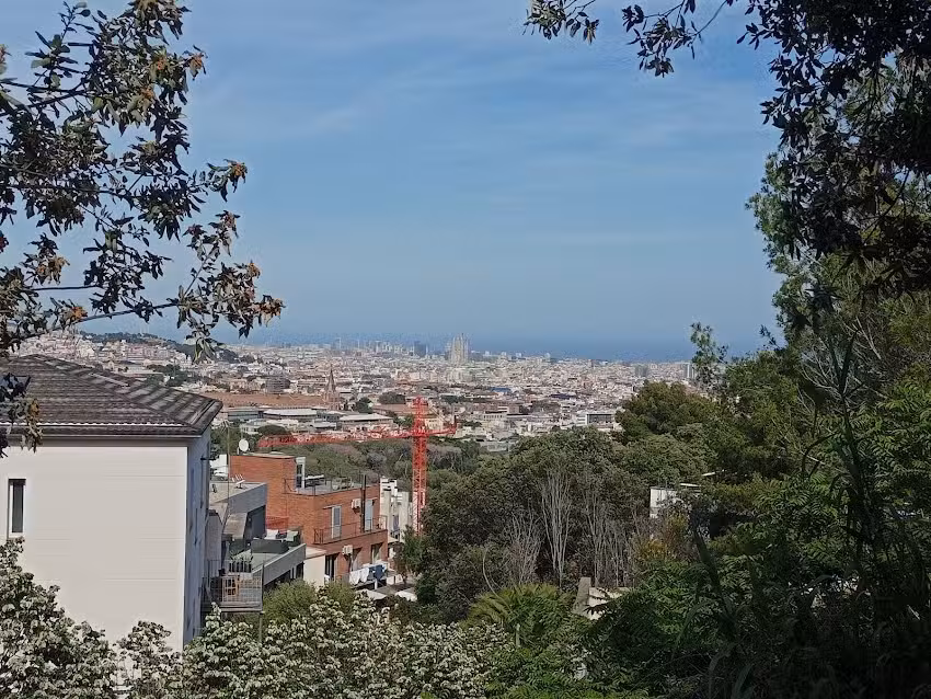 Capell&aacute;n de Maria Reina