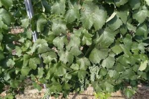 Capilla de las tres Mar&iacute;as