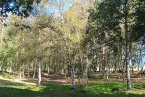 Capilla de Nuestra Señora de los Remedios