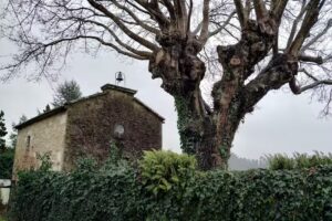 Capilla de San Andr&eacute;s de Costoia
