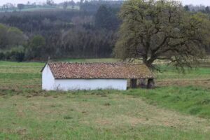 Capilla de San Pedro de Cestaños