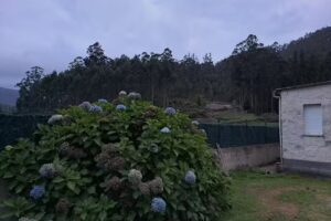 Capilla de San Ramón
