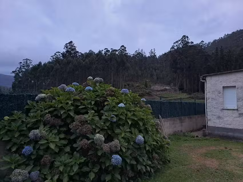 Capilla de San Ram&oacute;n