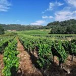 Capilla de San Roque