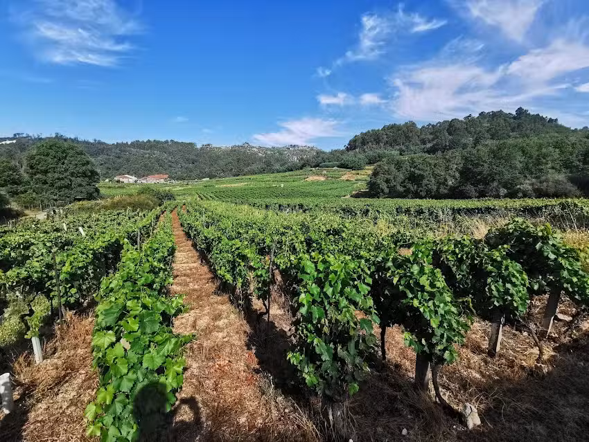 Capilla de San Roque