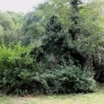 Capilla de Santo Tom&aacute;s