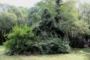 Capilla de Santo Tom&aacute;s
