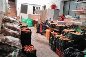 C&aacute;ritas Diocesana de Acci&oacute;n Cat&oacute;lica