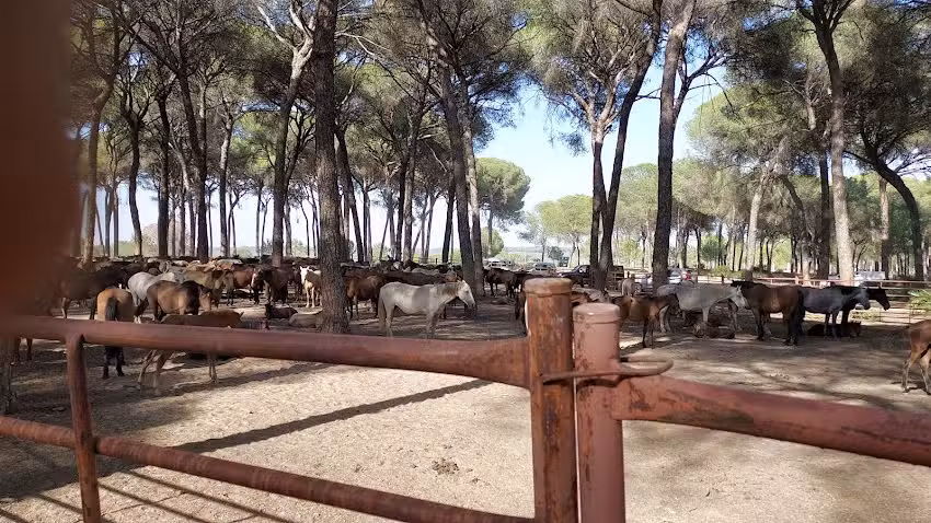 Casa Hermandad del Rocio de La L&iacute;nea