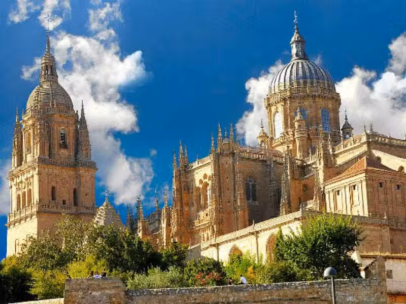 Catedral Nueva de la Asunci&oacute;n de la Virgen