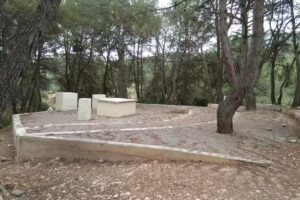 Catedral Verde (Verbum Dei Siete Aguas)