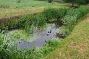 Centro Parroquial de Nuestra Se&ntilde;ora das Fonti&ntilde;as
