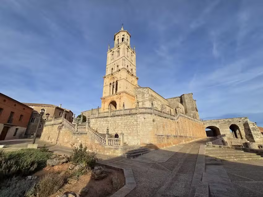 Colegiata de la Asunci&oacute;n de Santa Mar&iacute;a del Campo