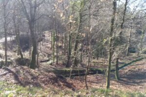 Cominidad de Montes de Atios