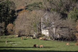 Ermita abandonada de Cozuela