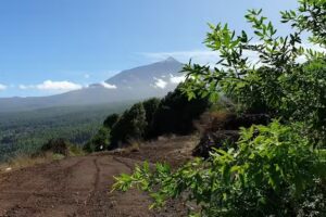 Ermita Cruz del Camino