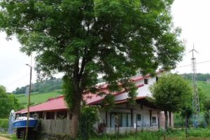 Ermita de La Asunci&oacute;n de Nuestra Se&ntilde;ora