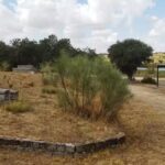 Ermita De La Divina Pastora