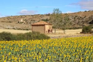 Ermita de la Soledad