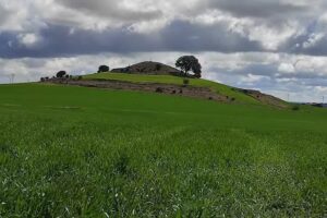 Ermita de la Virgen de la Piedad