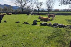 Ermita de la Virgen de la Yedra