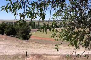 Ermita de la Virgen de Magaceda