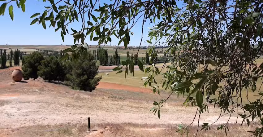 Ermita de la Virgen de Magaceda