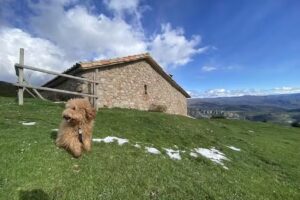 Ermita de San Bartolom&eacute;