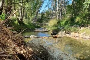 Ermita de San Baudelio Martir