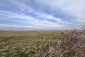 Ermita de San Blas el Viejo (ruinas)