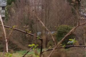 Ermita de San Cayetano