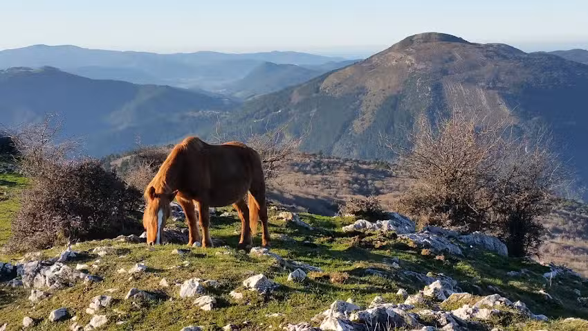 Ermita de San Cosme y San Damian