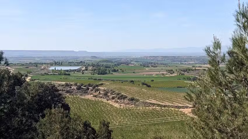 Ermita de San El&iacute;as