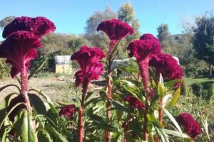 Ermita de San Esteban