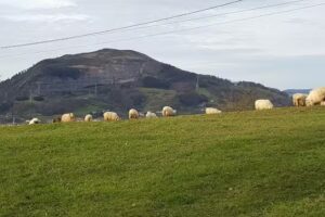 Ermita de San Esteban