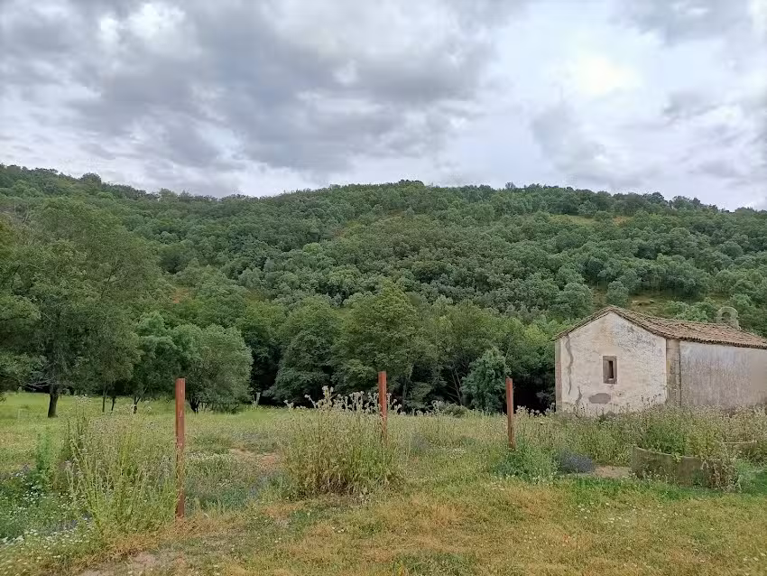 Ermita de San Francisco