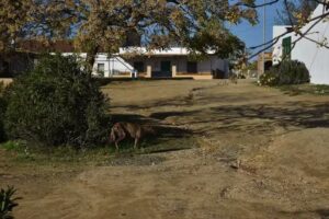 Ermita de San Isidro