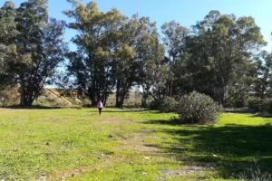 Ermita de San Isidro