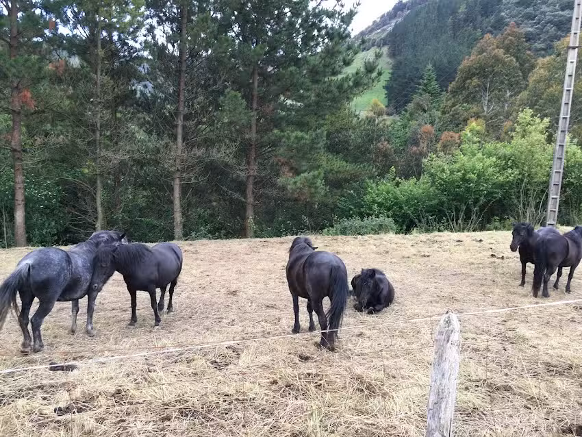 Ermita de San Isidro