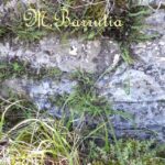 ERMITA DE SAN JUAN (Ruinas)