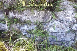 ERMITA DE SAN JUAN (Ruinas)