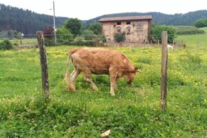Ermita de San Lorenzo