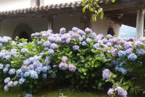 Ermita de San Martin de Murua