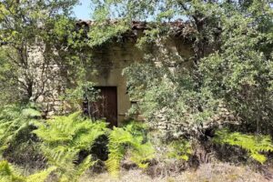 Ermita de San Miguel