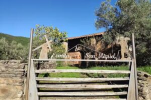 Ermita de San Miguel de la Vi&ntilde;a