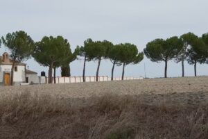 Ermita de San Nicol&aacute;s