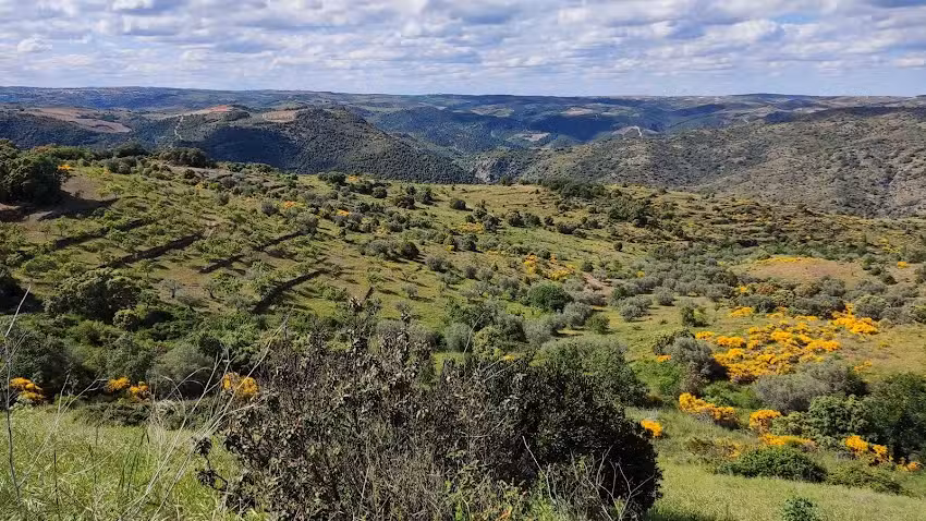 Ermita de Santa Cruz